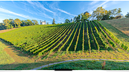 IMMERSION GOURMANDE - Au cœur des vignes du Château à Bizanos